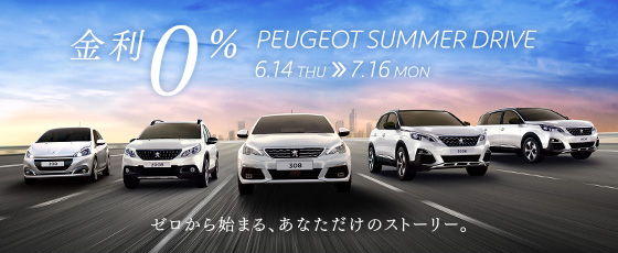 大人気！208レザーエディション