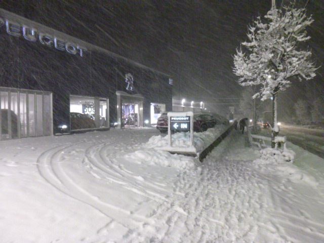東京は約4年ぶりの大雪です。