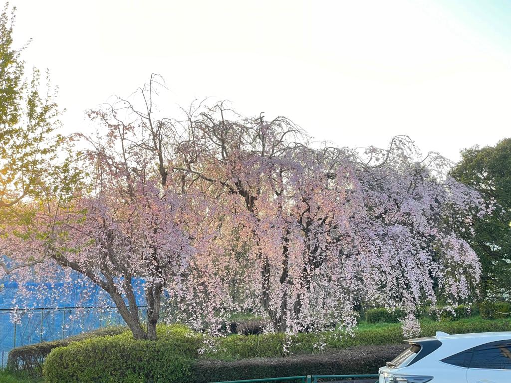 キッズコーナー再開しました！！