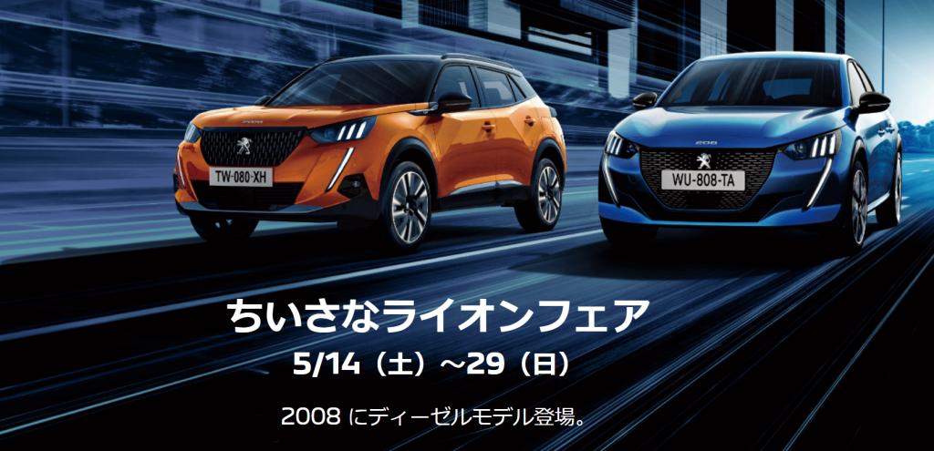 ちいさなライオンフェア開催致します！！！