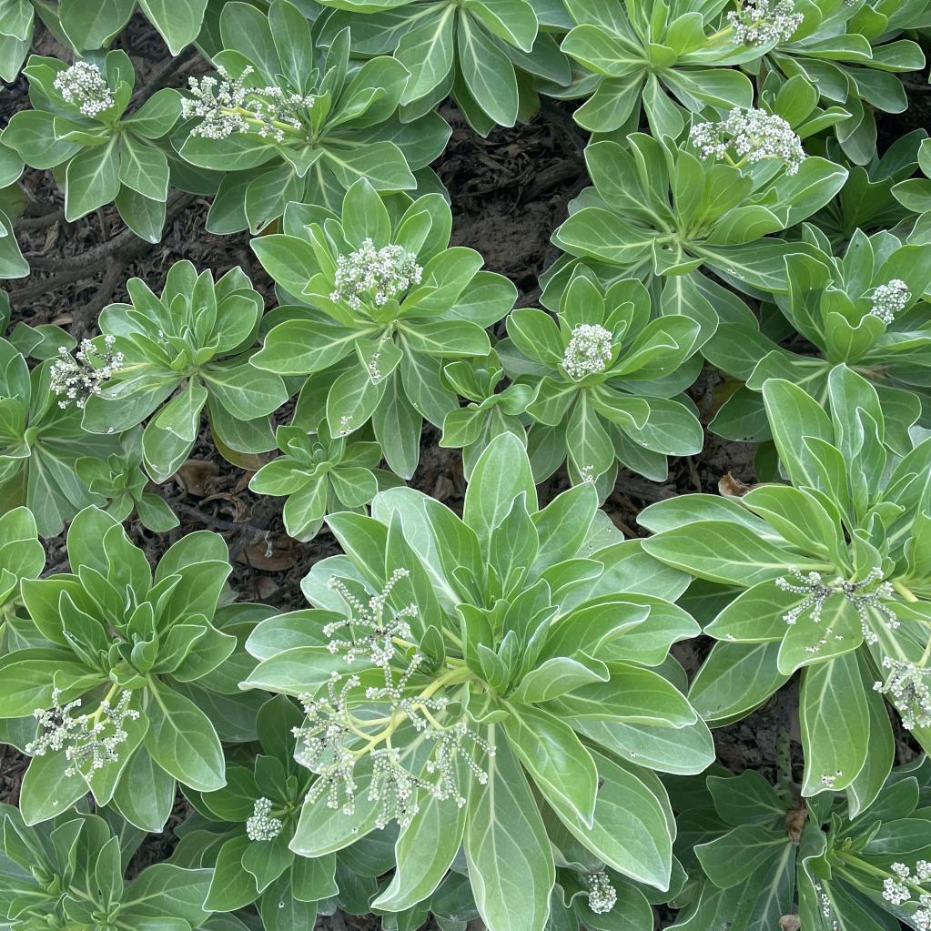 営業再開です🦁