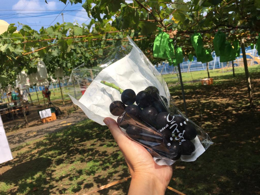 ８月２０・２１日は....🤭