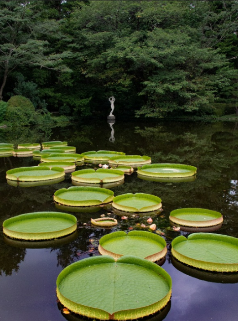 夏休みにいかがですか😎