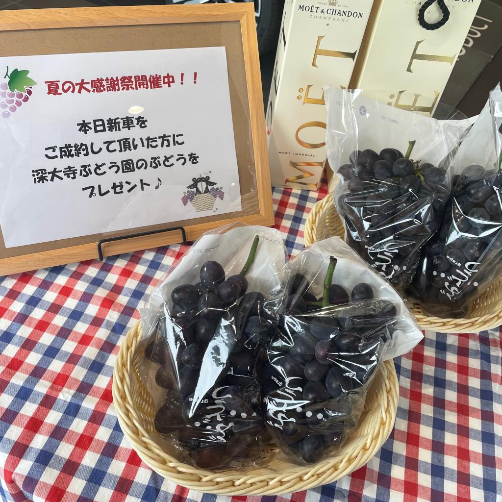 始まりました！🪂