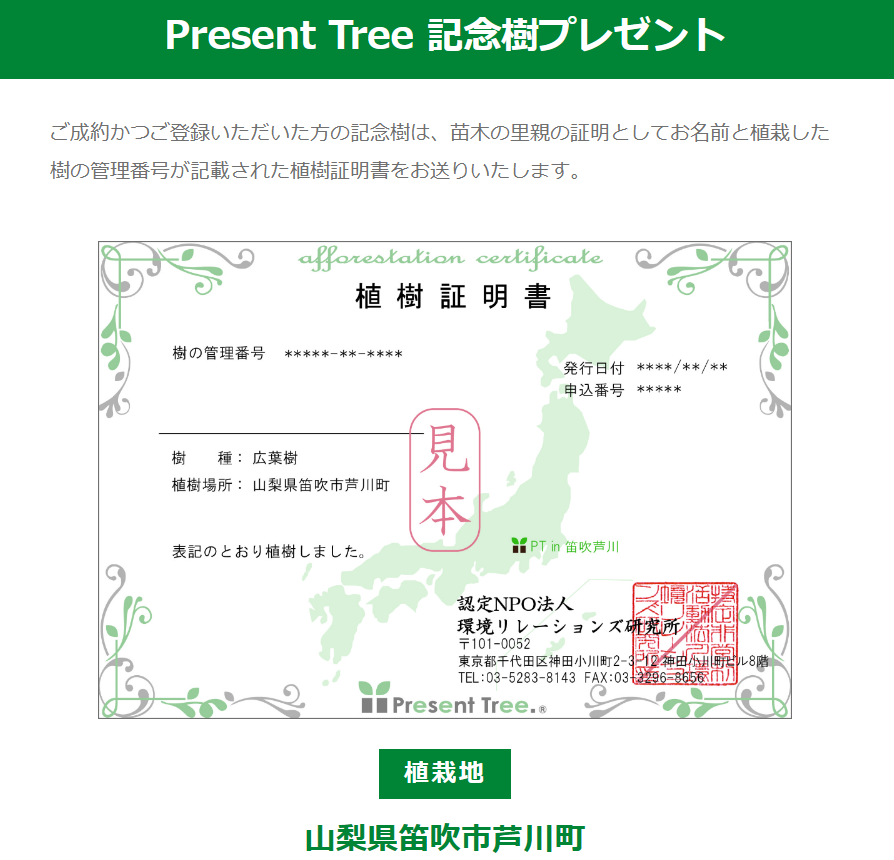 森を育てるプロジェクト🌱