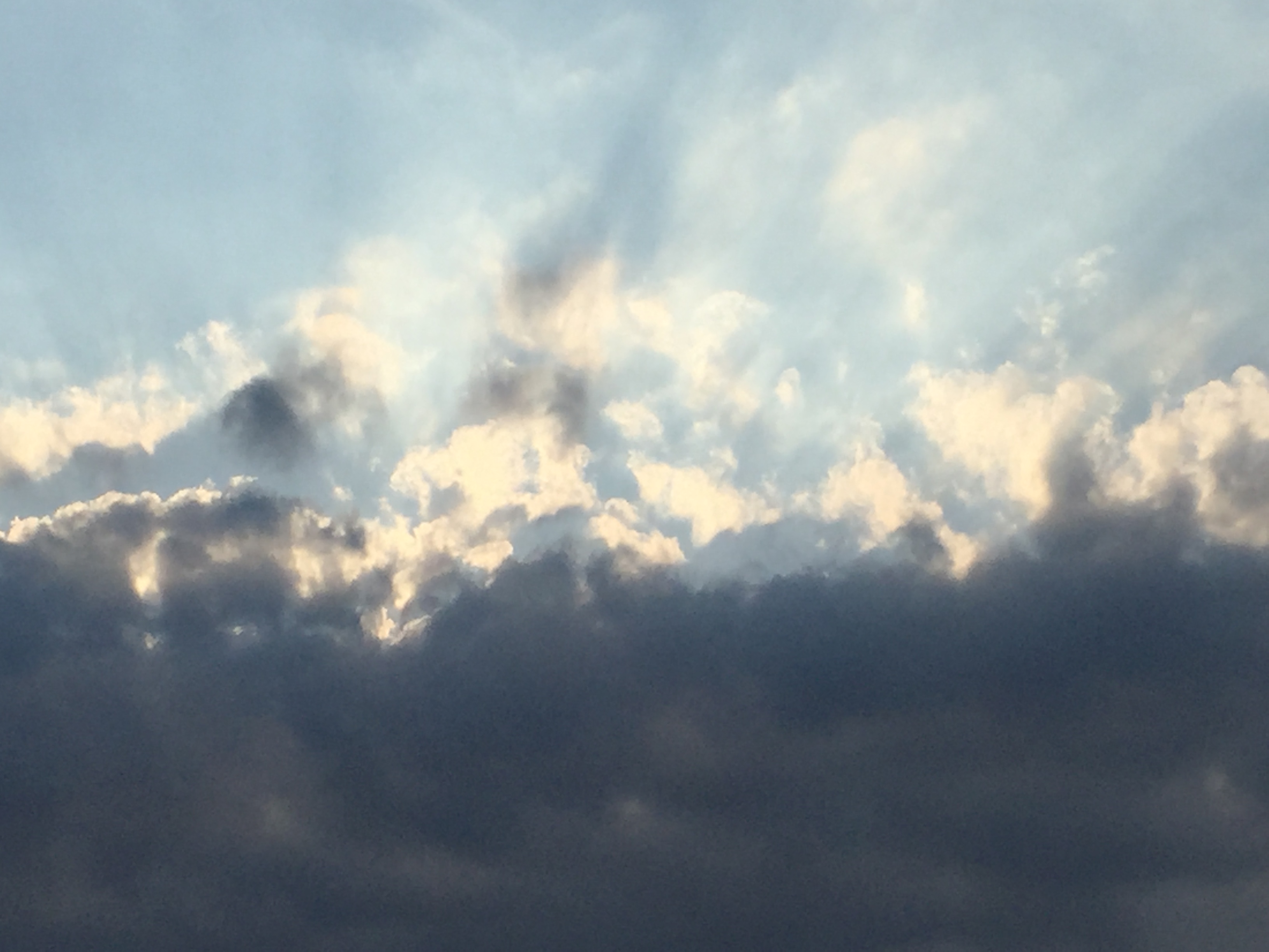 ナビの本体ってどこ？