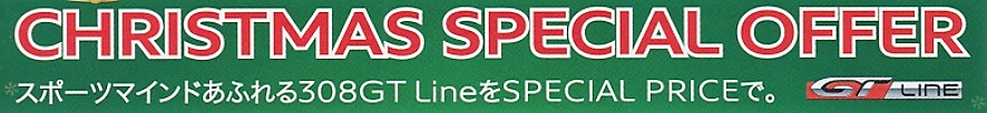 308GT LineをSPECIAL PRICEでご提供いたします！