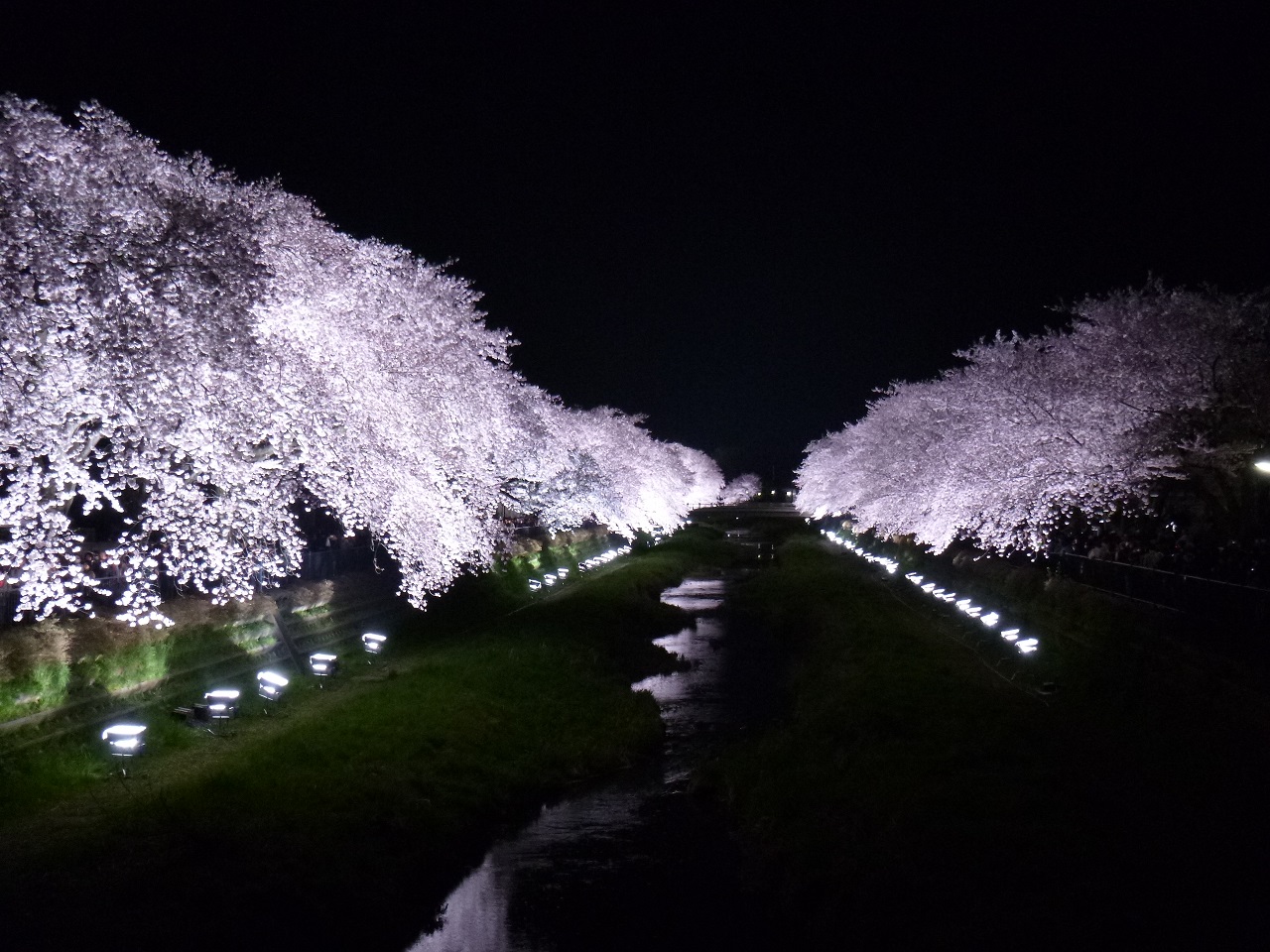 今週末も御来場お待ちしております！