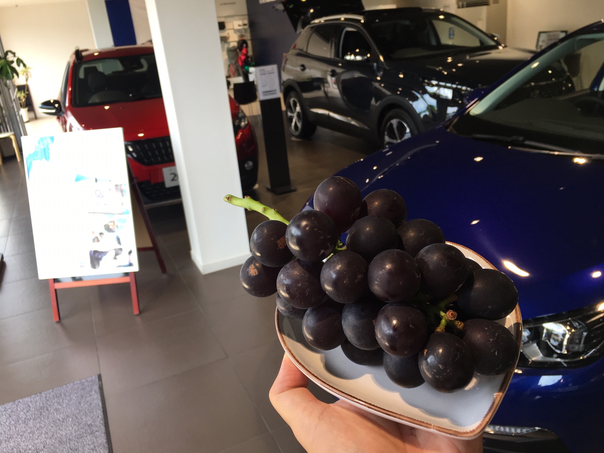 ワクワクする週末が始まりました！