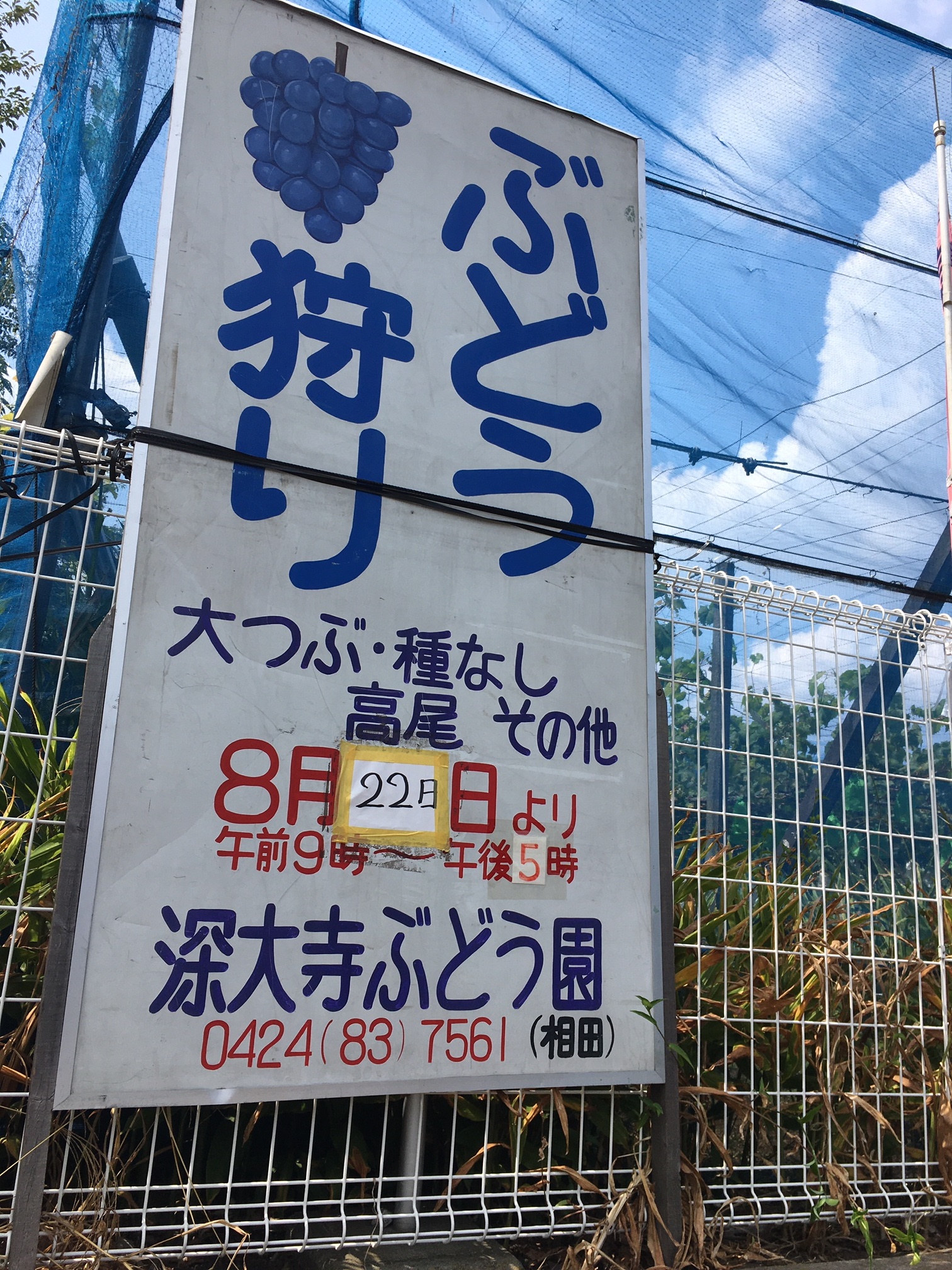 ワクワクする週末が始まりました！