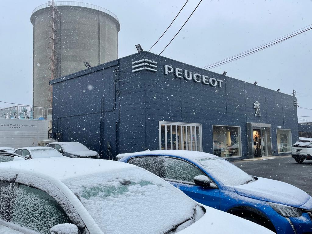 ２月１１日から「LION　TASTINGフェア」開催