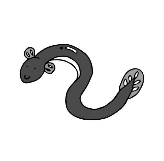 今年は２回ある✌