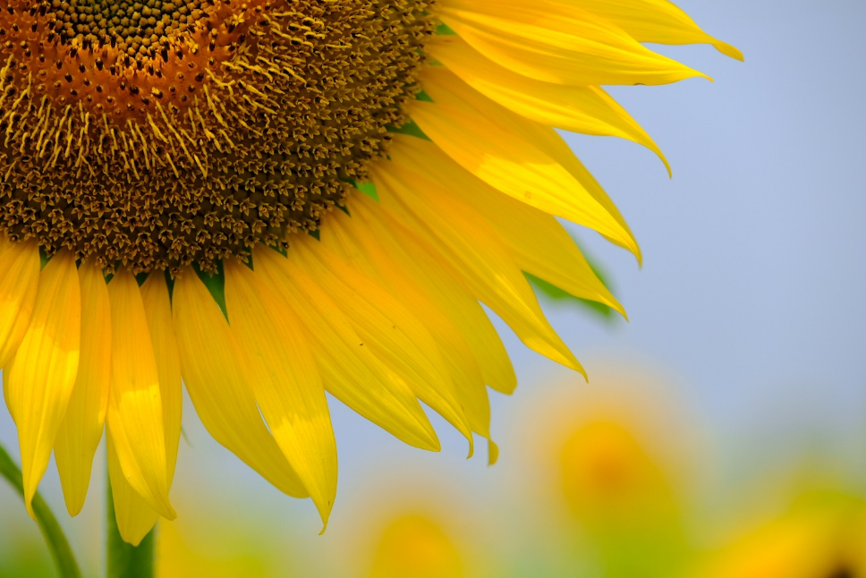 🌻８月スタート✨