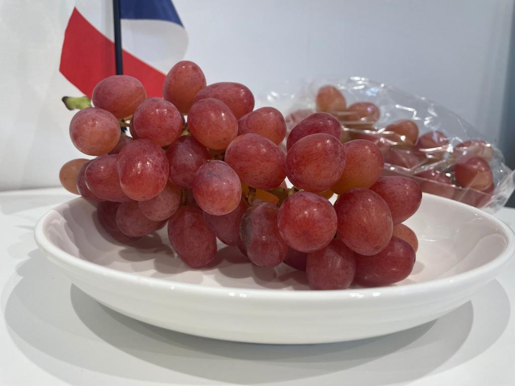 稲城のぶどう🍇