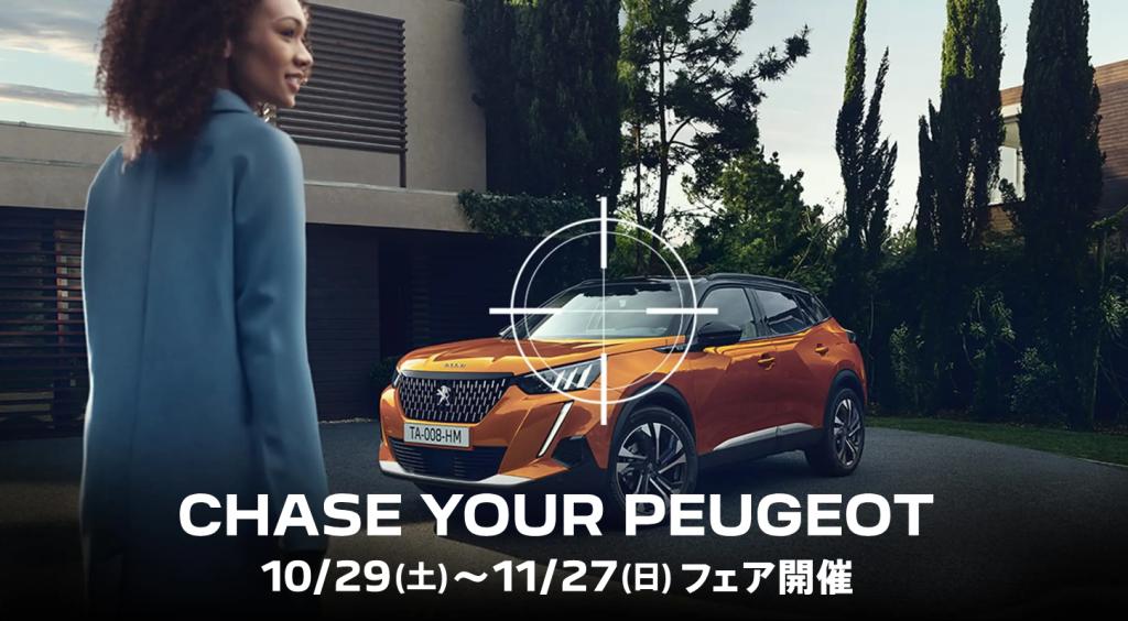 フェア開催！✨