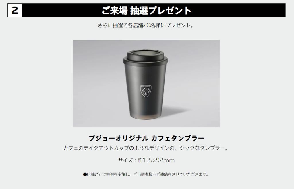 フェア開催！✨