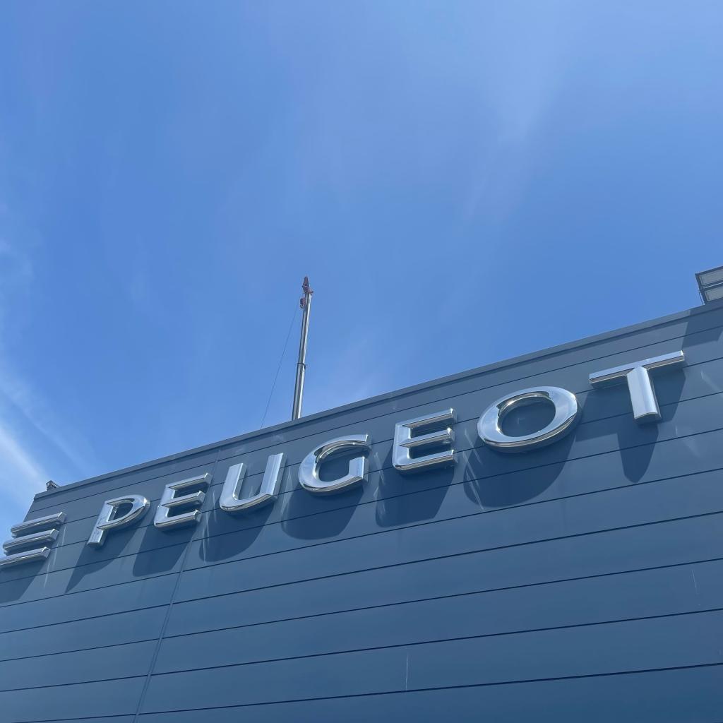 ご来場お待ちしております🌻